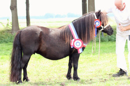 Raya vd Koesteeg