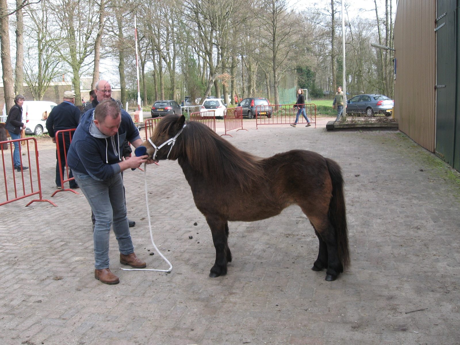 mooi